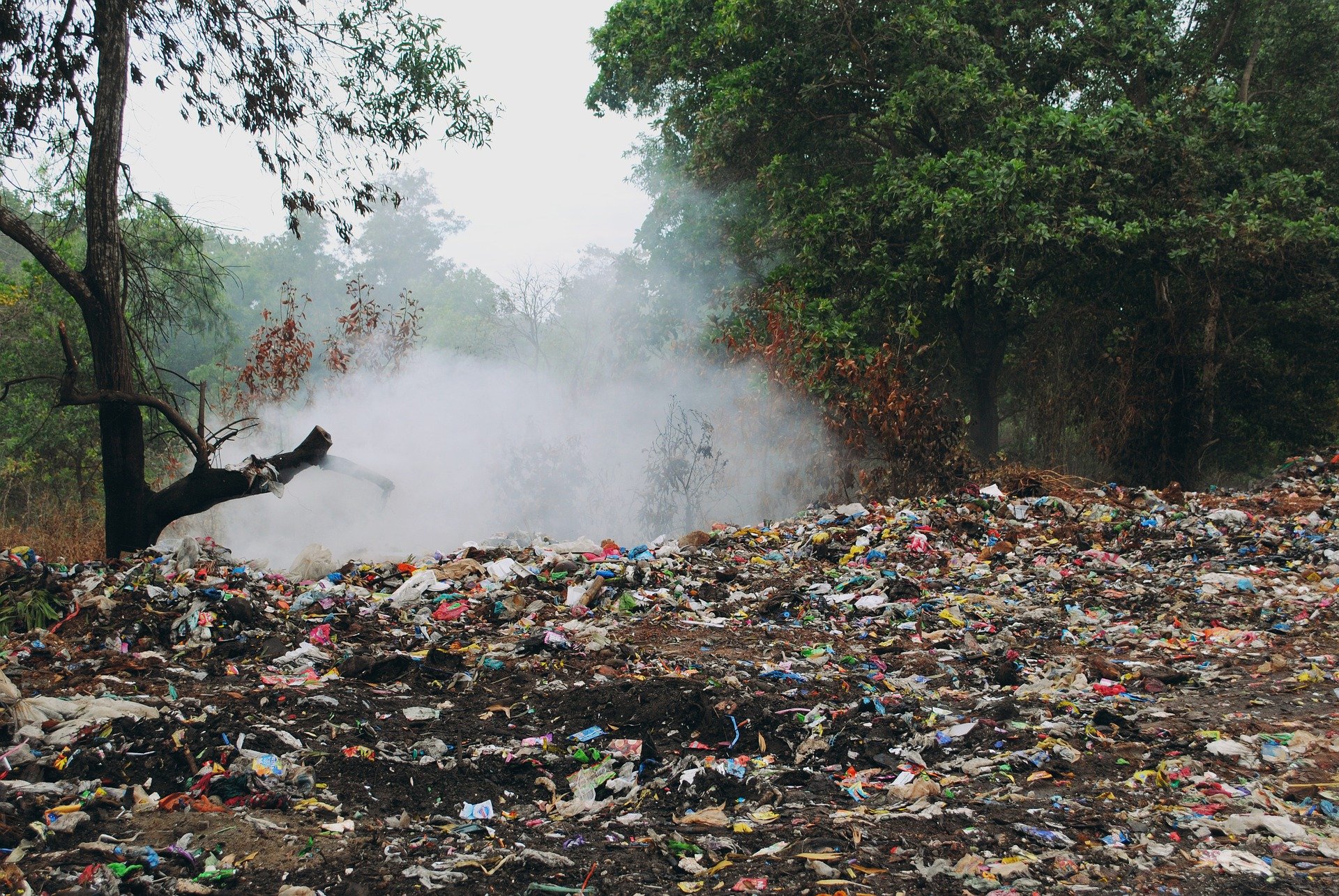 basura en el bosque